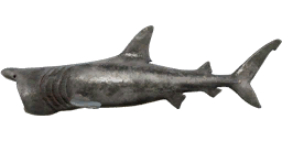 Basking Shark