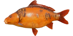 Starvas Red Carp - Mirror